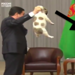 【動画】ロシアのプーチン大統領ブチ切れww犬の扱いが虐待だろっ！